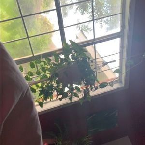 Meet your Posher, Sheri